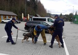 Międzynarodowe Ćwiczenia Przewodników Psów Służbowych i Użytkowych TriBORDER K9 – POLAND