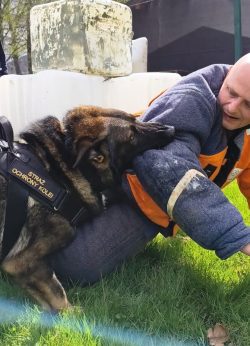 Międzynarodowe Ćwiczenia Przewodników Psów Służbowych i Użytkowych TriBORDER K9 – POLAND