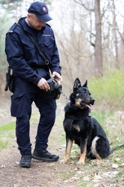 Nowe psy patrolowo obronne zasiliły szeregi Straży Ochrony Kolei