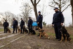 Nowe psy patrolowo obronne zasiliły szeregi Straży Ochrony Kolei