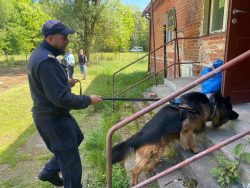 Wspólne szkolenie przewodników i psów służbowych