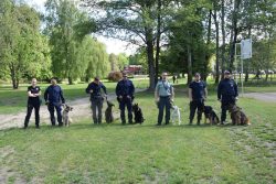 Wspólne szkolenie przewodników i psów służbowych