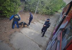 Psy służbowe i funkcjonariusze SOK ćwiczyli na taborze POLREGIO
