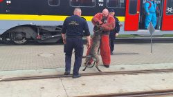 Wspólne ćwiczenia przewodników psów służbowych SOK i Policji na terenie �?KA