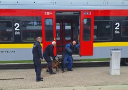 Wspólne ćwiczenia przewodników psów służbowych SOK i Policji na terenie �?KA