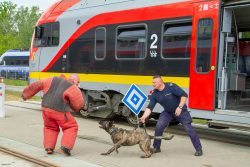 Wspólne ćwiczenia przewodników psów służbowych SOK i Policji na terenie �?KA