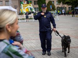 „Bezpieczne Wakacje” – Piknik Służb Mundurowych na dziedzińcu Ministerstwa Finansów W niedzielę, 14 czerwca, dziedziniec Ministerstwa Finansów zamienił się w miejsce pełne radości, zabawy i edukacji. Wszystko za sprawą rodzinnego pikniku „Bezpieczne Wakacje”, zorganizowanego z okazji Dnia Dziecka przez Krajową Administrację Skarbową. W wydarzeniu uczestniczyły liczne służby mundurowe, w tym funkcjonariusze Straży Ochrony Kolei wraz z maskotką formacji – strażnikiem SOKusiem.