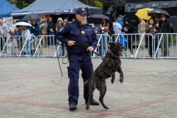 „Bezpieczne Wakacje” – Piknik Służb Mundurowych na dziedzińcu Ministerstwa Finansów W niedzielę, 14 czerwca, dziedziniec Ministerstwa Finansów zamienił się w miejsce pełne radości, zabawy i edukacji. Wszystko za sprawą rodzinnego pikniku „Bezpieczne Wakacje”, zorganizowanego z okazji Dnia Dziecka przez Krajową Administrację Skarbową. W wydarzeniu uczestniczyły liczne służby mundurowe, w tym funkcjonariusze Straży Ochrony Kolei wraz z maskotką formacji – strażnikiem SOKusiem.