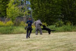 „Bezpieczne Niebo” – Rodzinny Dzień z Dronami w Warszawie