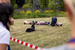 „Bezpieczne Niebo” – Rodzinny Dzień z Dronami w Warszawie