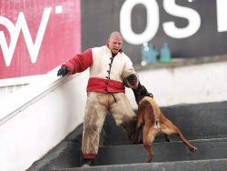 CERBERUS K9 – International Defense Platform