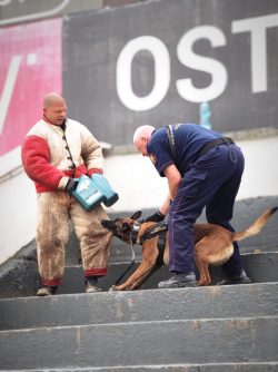 CERBERUS K9 – International Defense Platform