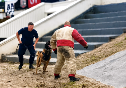 CERBERUS K9 – International Defense Platform