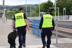 Wspólne działania rzecz bezpieczeństwa