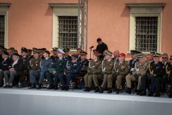 Jubileusz 35-lecia Straży Miejskiej m.st. Warszawy na Placu Zamkowym