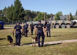 Psy służbowe Straży Ochrony Kolei