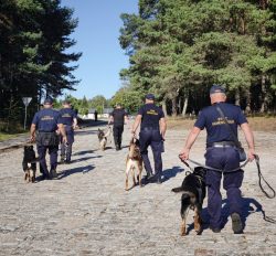 Psy służbowe Straży Ochrony Kolei