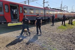 Łódzkie psy służbowe SOK i Policji w akcji – ćwiczenia na kolei