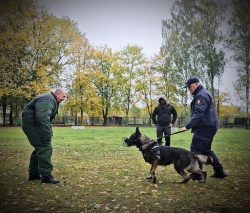 TROPIK-9 z udziałem przewodników psów służbowych Straży Ochrony Kolei