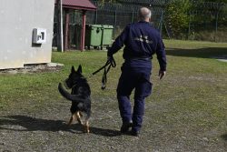 Za nami II edycja Podkarpackich Ćwiczeń Psów Służbowych Formacji Mundurowych!