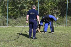 Za nami II edycja Podkarpackich Ćwiczeń Psów Służbowych Formacji Mundurowych!